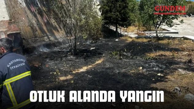 Kastamonu'da Otluk Alanda Yangın