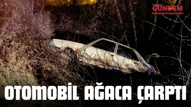 Kastamonu'da Otomobil Ağaca Çarptı: 1 Yaralı