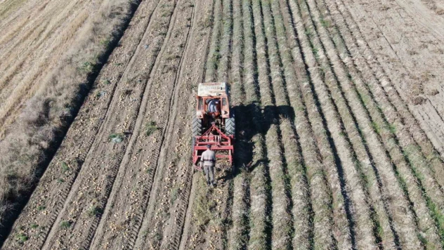 Aromasıyla Vatandaşlardan Büyük İlgi Görüyor