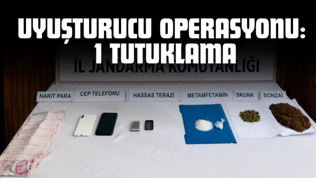 Kastamonu'da Uyuşturucu Operasyonu: 1 Tutuklama