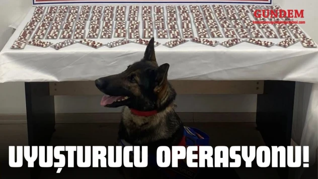 Kastamonu'da Uyuşturucu Operasyonu!