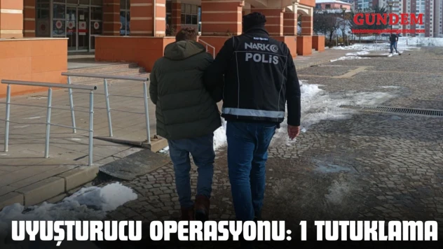 Kastamonu'da Uyuşturucu Operasyonu: 1 Tutuklama