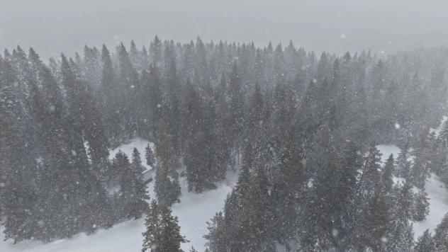 Kastamonu'da Yoğun Kar ve Sis: Ekipler Teyakkuzda