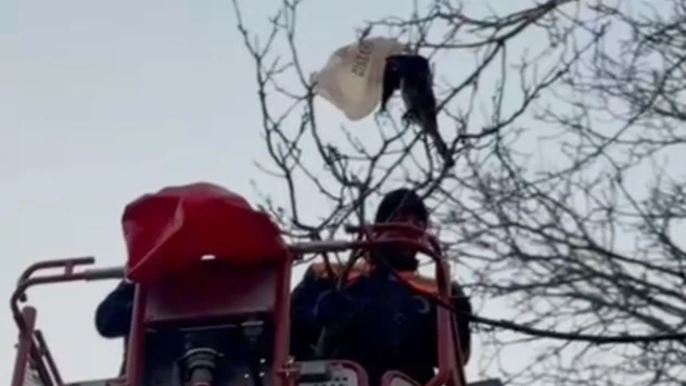 Kastamonu'da Yürek Isıtan Kurtarma Operasyonu