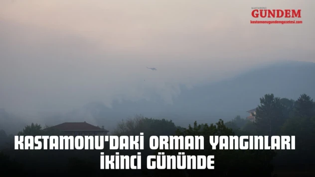 Kastamonu'daki Orman Yangınları İkinci Gününde