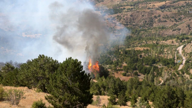 Kastamonu'dan Yangın Bölgesi Destek!