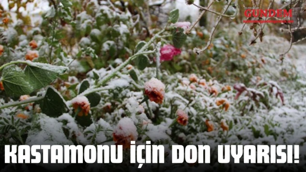 Kastamonu İçin Don Uyarısı!