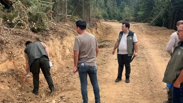 Kastamonu'da 3 Kilometrelik Yeni Orman Yolu Tamamlandı