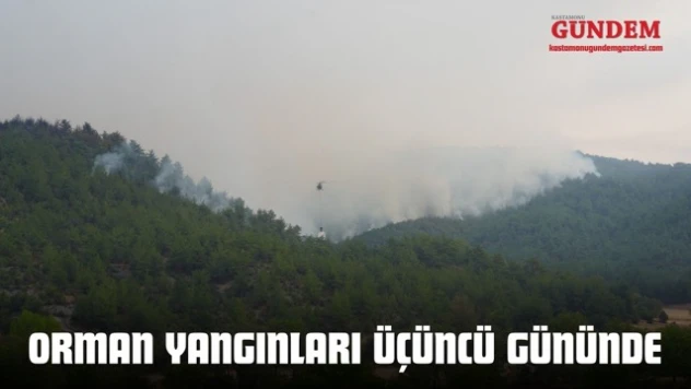Kastamonu Orman Yangınları Üçüncü Gününde