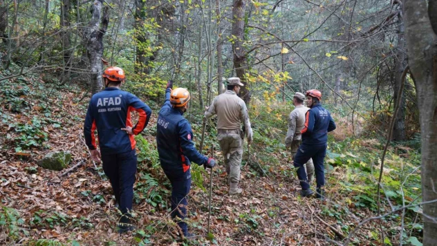 Kayıp Anne Ve Oğlu İçin Daraltılmış Baz Çalışması