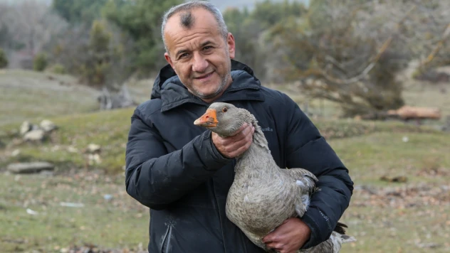 Kaz Yetiştiriciliğinde 5 Yılda 600 Hayvana Ulaştı