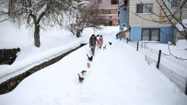 Kedileri Köy İmamı Besliyor