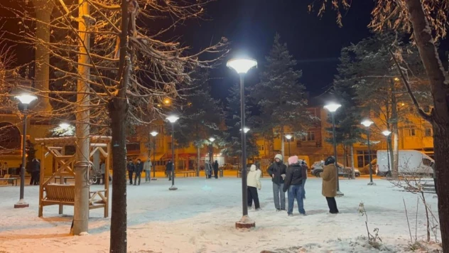 Kimi Halay Çekti, Kimi Kar Topu Oynadı