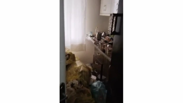 Kiraya Verdiği Dairesine Girince Gördüğü Manzara Şok Etti