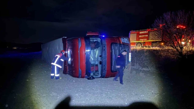 Köpeğe Çarpmamak İçin Manevra Yaptı, Şarampole Devrildi: 1 Yaralı