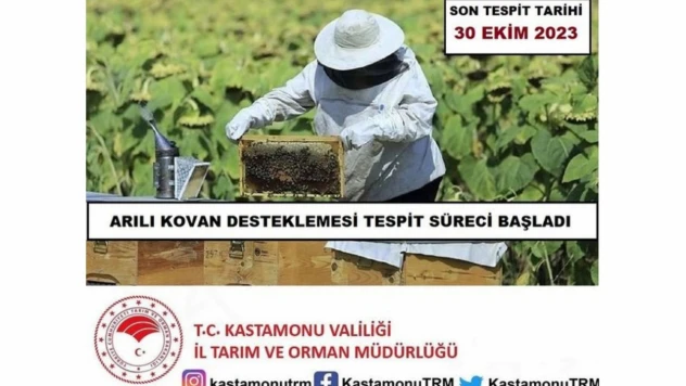 Kovan tespitleri başladı
