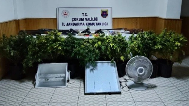 Skunk Yetiştiren Şahsa Operasyon