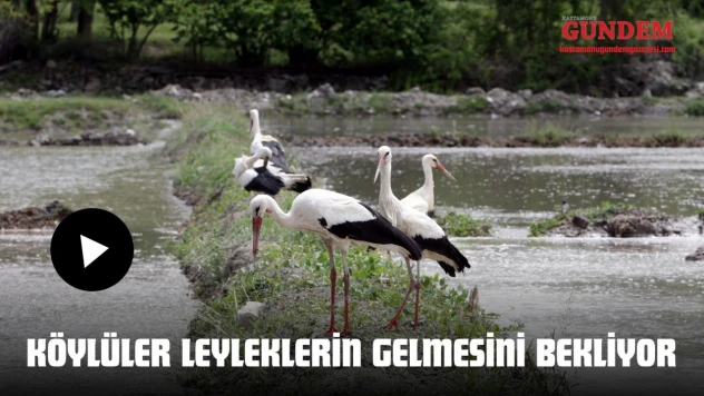 Köylüler Leyleklerin Gelmesini Bekliyor