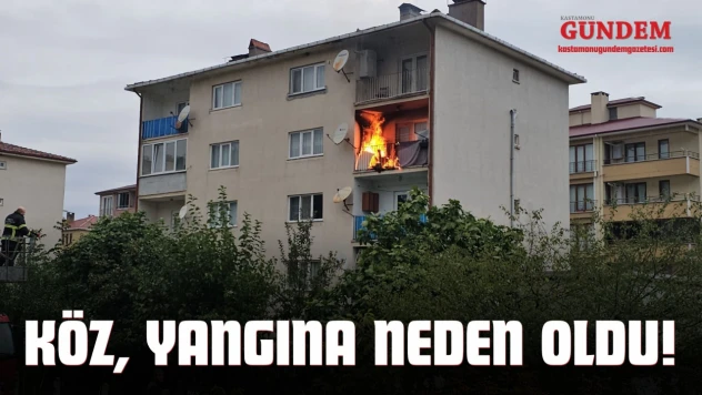Köz, Yangına Neden Oldu!