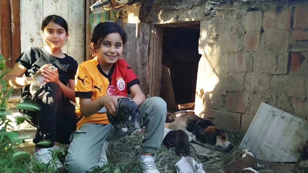 Küçük Çocuklardan Yürek Isıtan Davranış