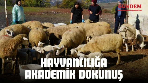 Küçükbaş Hayvancılığa Akademik Dokunuş