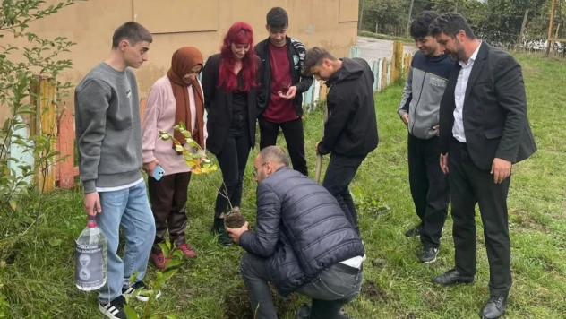 Küre'de Öğrencilerden Fidan Dikimi