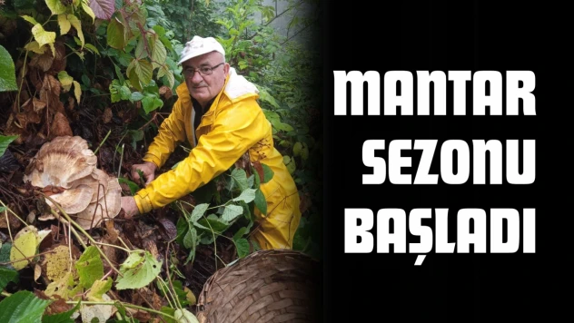 Mantar Sezonu Başladı