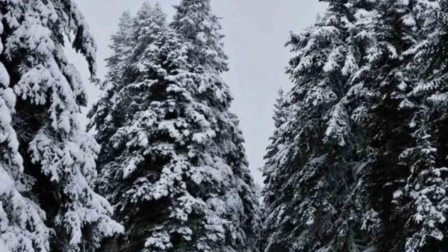 Çankırı'da Kar Yağışı Etkili Oldu