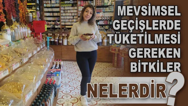 Mevsimsel Geçişlerde Tüketilmesi Gereken Bitkiler Nelerdir?