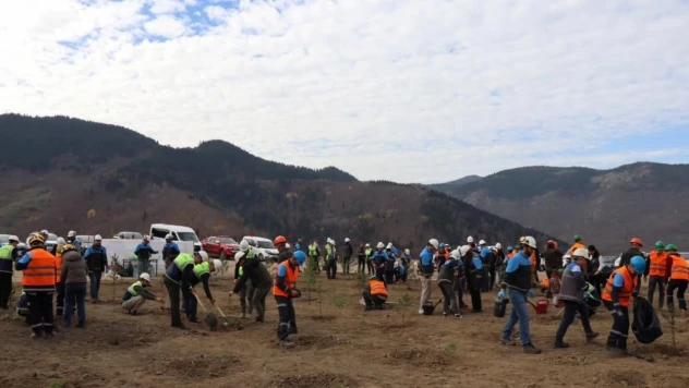 Milli Ağaçlandırma Günü Kapsamında Etkinlik Yapıldı