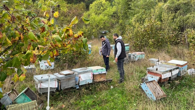 O İlçede Arılı Kovan Desteği İçin Tespit Çalışmaları Sürüyor
