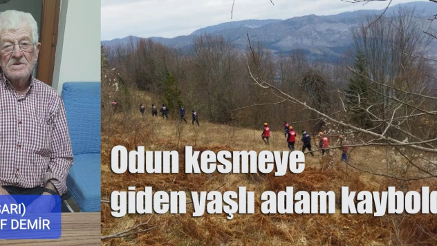 Odun kesmeye giden yaşlı adam kayboldu