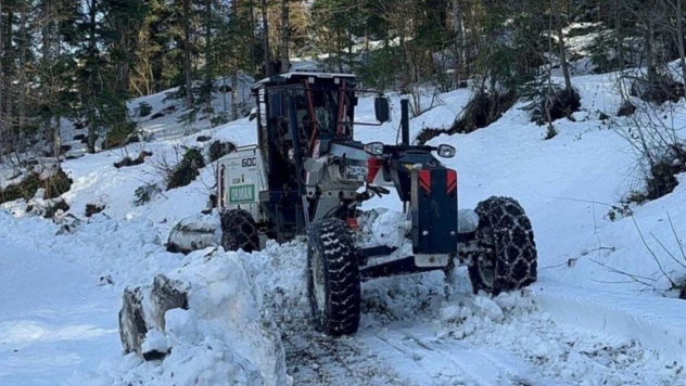 Orman Ekipleri İnebolu Köylerinde Sahada