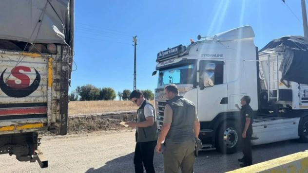 Orman Emvali Denetlendi