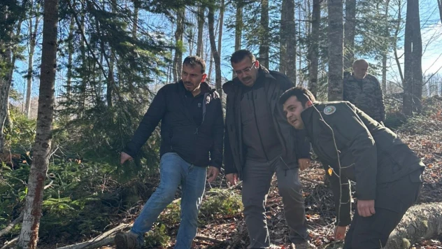 Orman Emvali İstifleme Deposunda Denetim