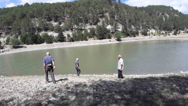 Orman Yangınında Kritik Rol Oynayan Gölet, Can Çekişiyor