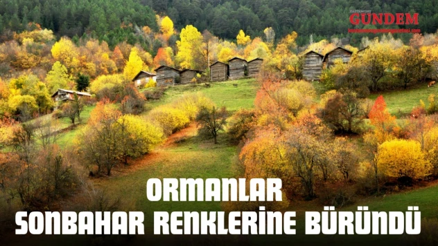 Ormanlar Sonbahar Renklerine Büründü