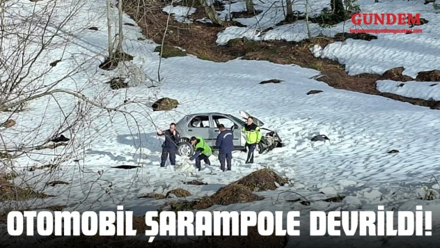 Otomobil Şarampole Devrildi: 2 Yaralı