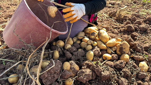 Patates Ekim Makinesi İçin Liste Yayımlandı
