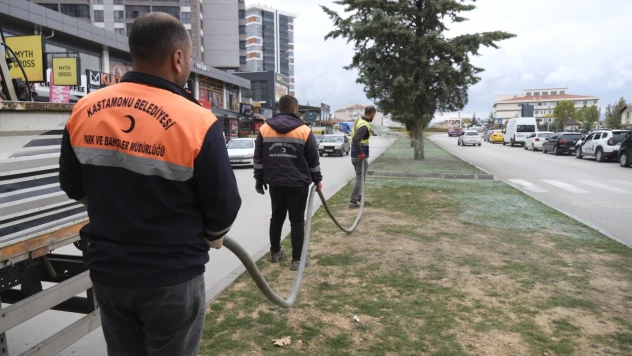 Peyzaj Çalışmaları Aralıksız Sürüyor