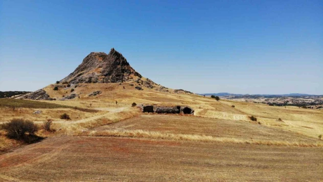 Prof. Dr. Kemal Uyardı: 'Çok Değerli Bir Yapıyı Kaybetmiş Olacağız'