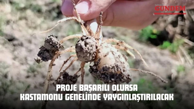 Proje Başarılı Olursa Kastamonu Genelinde Yaygınlaştırılacak