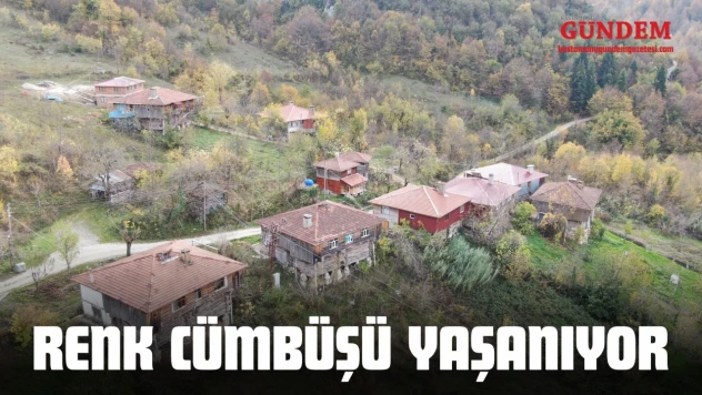 Renk Cümbüşü Yaşanıyor