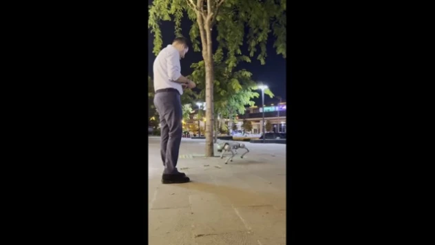Robokurt Görücüye Çıktı