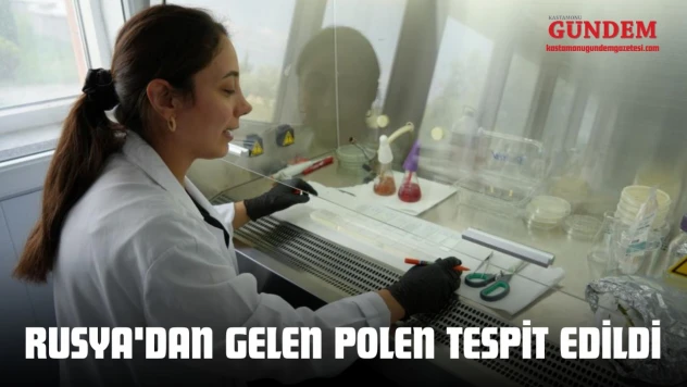 Rusya'dan Gelen Polen Tespit Edildi