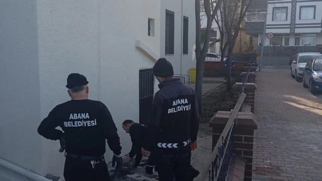 Sahil Yeni Camii Çevresinde Düzenleme Çalışmaları Sürüyor