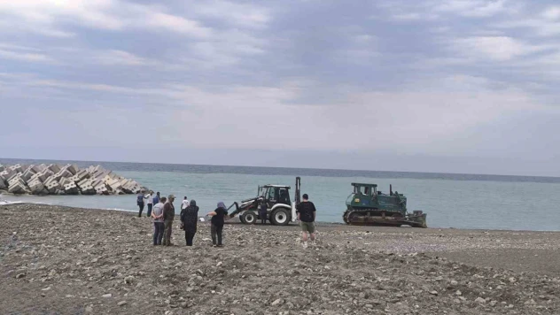 Güneşlenen Kadını Ezen İş Makinesi Operatörü Tahliye Edildi