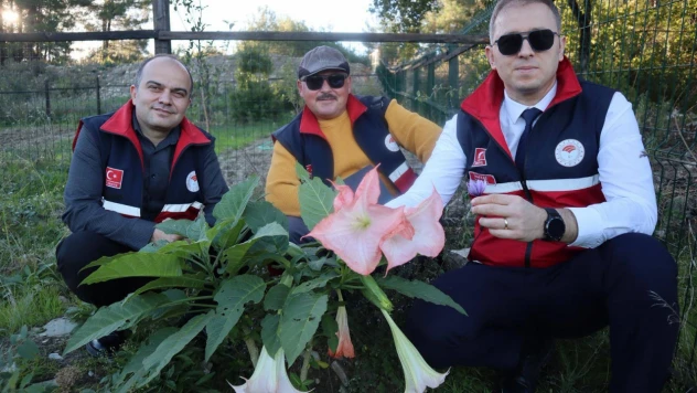 Salep Ve Safran Tarlalarına Ziyaret