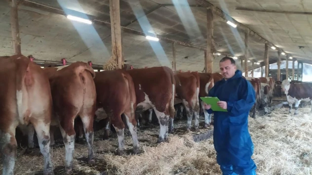 Şap Hastalığı, Çiftçilerin Kredi Ödemelerini Vurdu