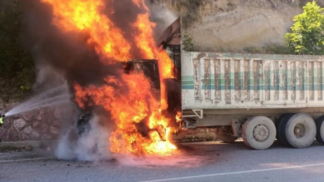 Seyir halindeki TIR alev alev yandı